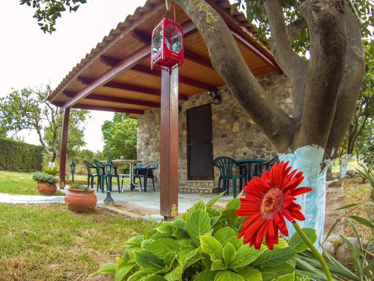 Вилла Patras Stonehouse With Large Yard - Πέτρινο Σπίτι Με Αυλή Paralia  Экстерьер фото